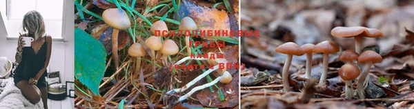 соль ск Иннополис