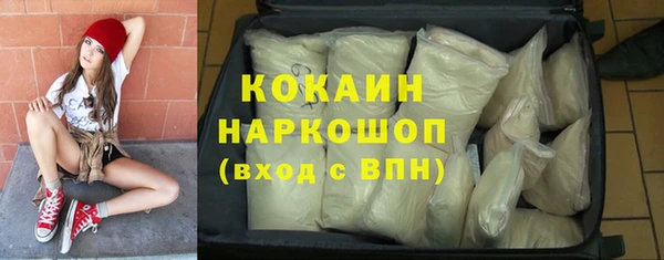 apvp Инсар