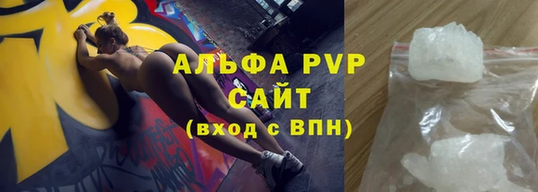apvp Инсар