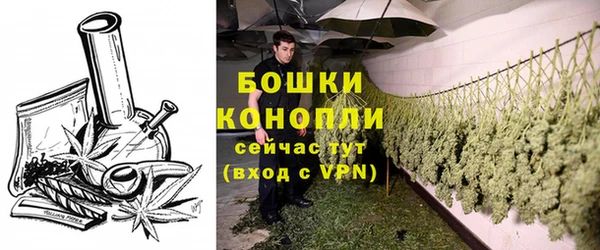 соль ск Иннополис