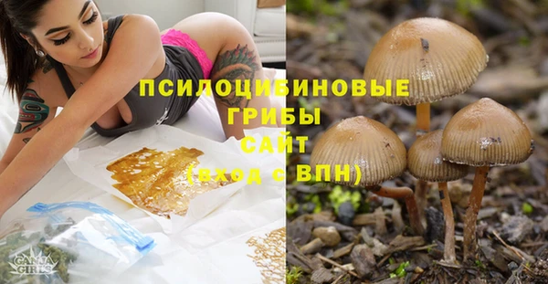 apvp Инсар