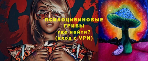 соль ск Иннополис