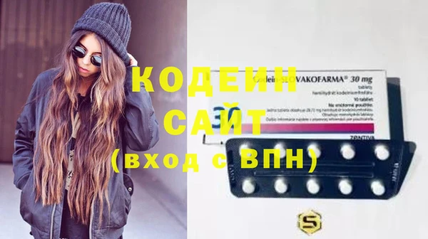 apvp Инсар