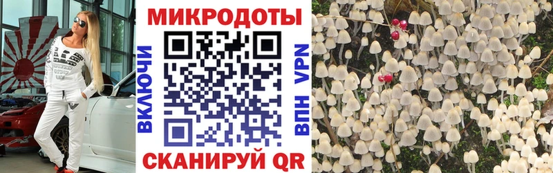 Псилоцибиновые грибы Psilocybe  Купить  Новосиль 